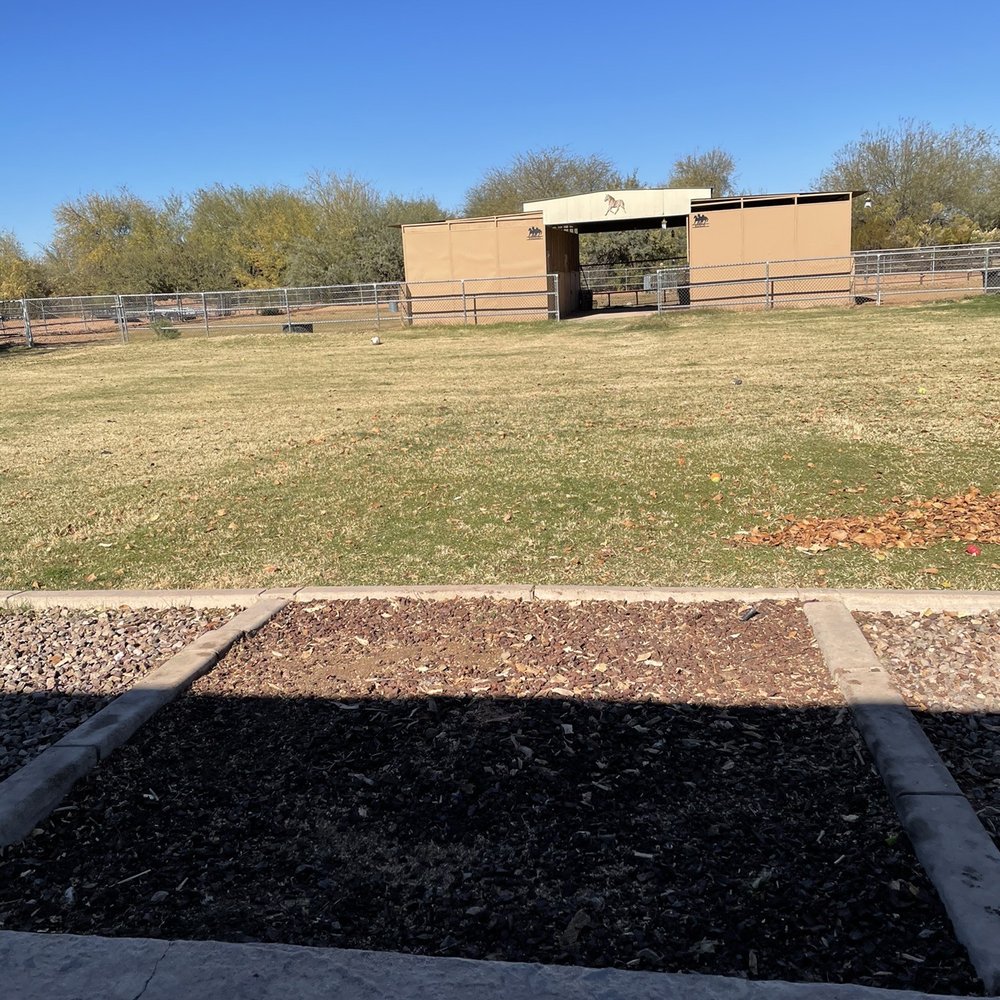 Shady Tree Services and Landscaping - Tree Services Near Me