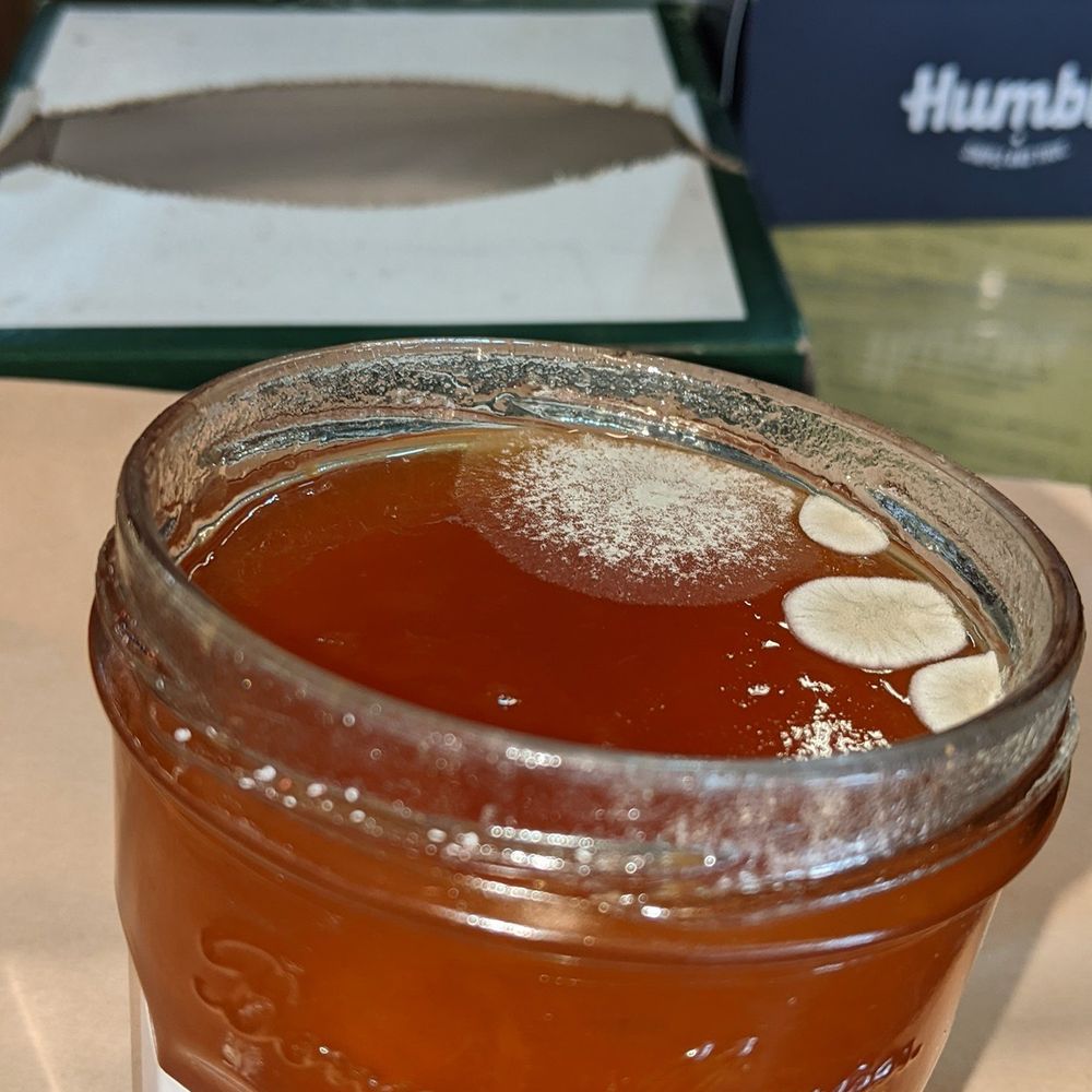 Bohemian Market - Mold inside freshly purchased jam!!! - Grocery Near Me - Occidental, California Bohemian Market - Mold inside freshly purchased jam!!! - Grocery Near Me - Occidental, California