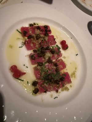 Pop-Up by Rocco by null