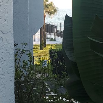 Caprice Resort - View from balcony - Vacation Rentals Near Me - St Pete Beach, Florida Caprice Resort - View from balcony - Vacation Rentals Near Me - St Pete Beach, Florida