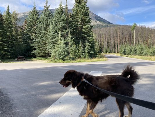 Whistlers Campground by null