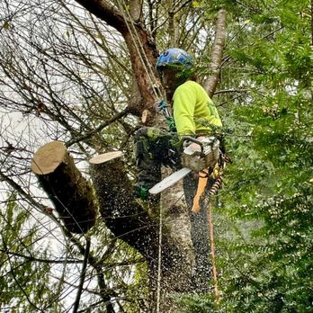 Warrick Brothers Tree Service - Tree Services Near Me Warrick Brothers Tree Service - Tree Services Near Me