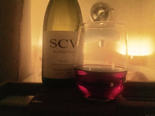 Sonoma Coast Vineyards by null