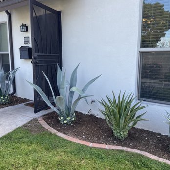 JD's Landscaping - the front of a house with a black door - Landscaping Near Me JD's Landscaping - the front of a house with a black door - Landscaping Near Me