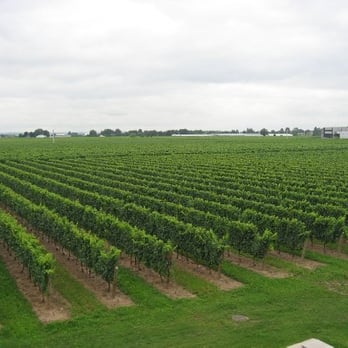 Jackson-Triggs Winery - Wineries Near Me - Niagara On the Lake, Ontario Jackson-Triggs Winery - Wineries Near Me - Niagara On the Lake, Ontario