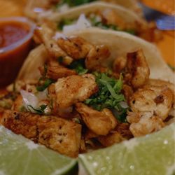 Taqueria Tacos TKO - Chicken tacos