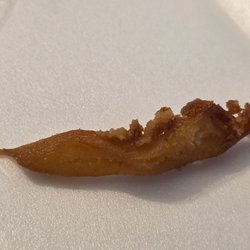 RipTide Restaurant & Bar - Clam strip after th rock hard batter broke off.