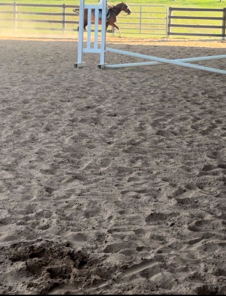 YMCA Camp Cullen Logo