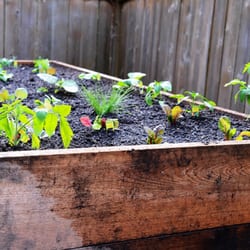 Griffins Gardens - Spring planting has begun in our new raised garden bed by Griffins Gardens. Looking forward to some fresh produce this year!