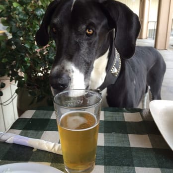 Wise Guys Pizzeria - Love the beer here! - Pizza Near Me - Orange, California Wise Guys Pizzeria - Love the beer here! - Pizza Near Me - Orange, California