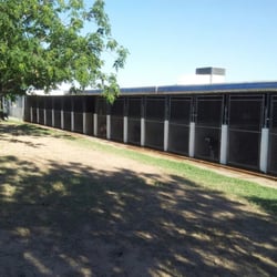 At-Home Kennels - A view of the indoor /outdoor runs from the outside.