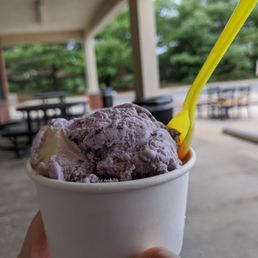 Blueberry cheesecake with BIG chunks! Yum! Blueberry cheesecake with BIG chunks! Yum!