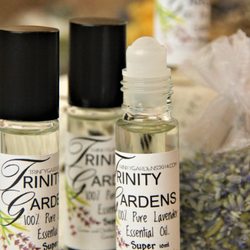 Trinity Gardens Lavender Farm