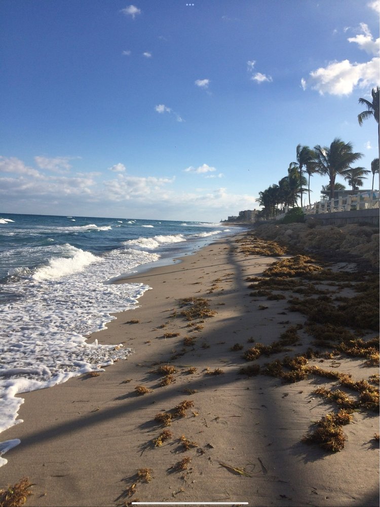 HILLSBORO BEACH Updated May 2024 14 Photos 1225 Hillsboro Mile