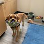 Photo of Harmony Veterinary Center