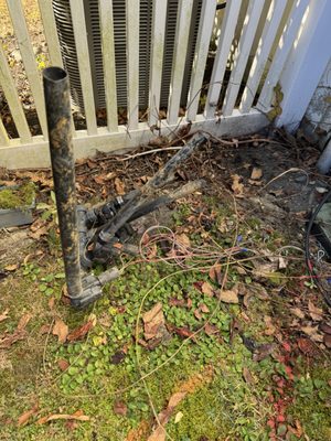 Royal Class Service Logo