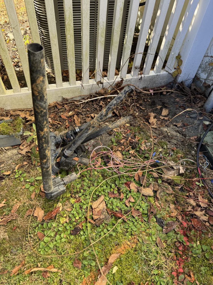 Slide of Royal Class Service