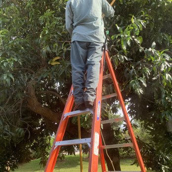 The Davey Tree Expert Company - Worker. With all his safety gear. - Landscaping Near Me - Naples, Florida The Davey Tree Expert Company - Worker. With all his safety gear. - Landscaping Near Me - Naples, Florida