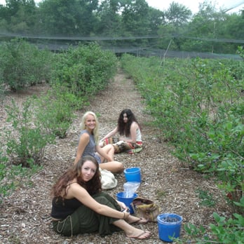 Rocky Point Farm - Even teenage girls love it! - Pick Your Own Farms Near Me - Warwick, Rhode Island
