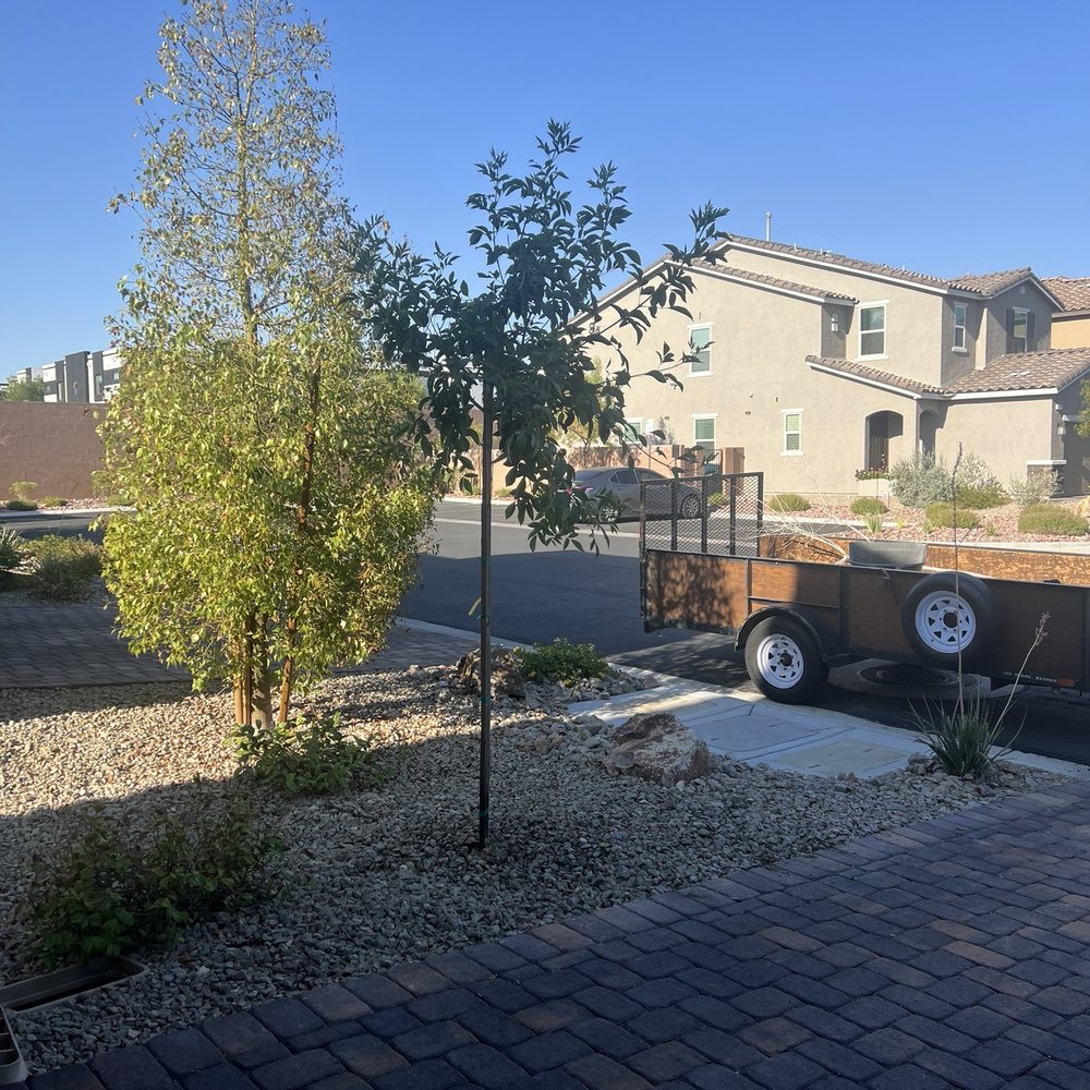 Tree removal and installation along with a few tips and pointers in regard to my irrigation system Tree removal and installation along with a few tips and pointers in regard to my irrigation system