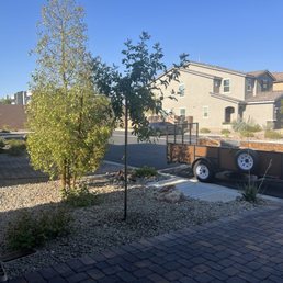 Tree removal and installation along with a few tips and pointers in regard to my irrigation system Tree removal and installation along with a few tips and pointers in regard to my irrigation system