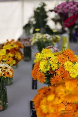 Baker Creek Heirloom Seed Company by null
