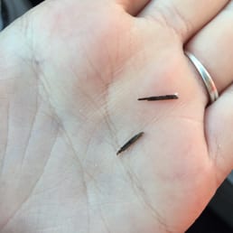This was found in our sausage egg and cheese. This was found in our sausage egg and cheese.