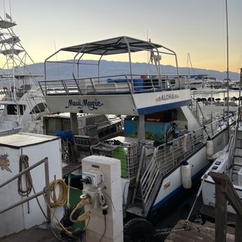 Maui Magic Snorkel - Snorkeling Near Me - Maalaea, Hawaii