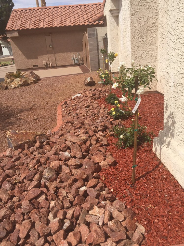 New Landscape - tree service in Las Vegas, NV