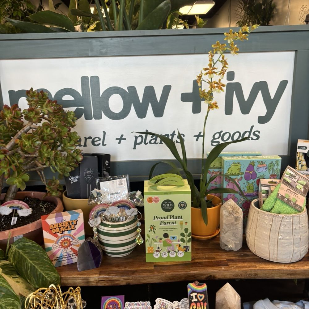 Mellow & Ivy - Men's Clothing Near Me - Mt. Juliet, Tennessee Mellow & Ivy - Men's Clothing Near Me - Mt. Juliet, Tennessee