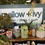 Photo of Mellow & Ivy