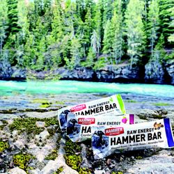 Hammer Nutrition - Hammer Bar