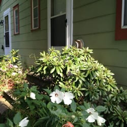 Jensen's RV Park & Motel - This is the most charming view at the motel.