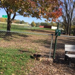 Windsor Heights Dog Park - Big dog area
