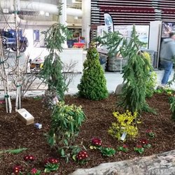 Roots Nursery & Landscape