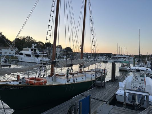 Arundel Wharf - Seafood - Cocktail Bar - Craft Beer by null