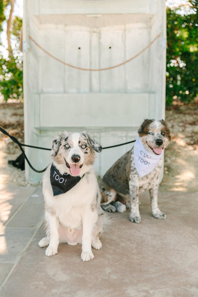 EARTHWISE PET HUNTINGTON BEACH Updated October 2024 182 Photos