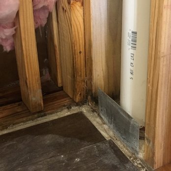 Riverstone Apartments at Long Shoals - More mold inside of the walls - Apartments Near Me - Arden, North Carolina