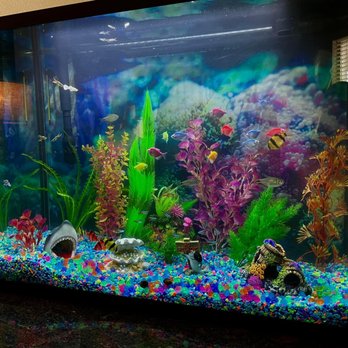 Sea Savvy Aquarium - Check out our before and after of a tank we cleaned recently. Let us help get your tank back to looking like new! - Aquarium Services Near Me