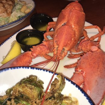 Red Lobster - Seafood Near Me - Rochester Hills, Michigan Red Lobster - Seafood Near Me - Rochester Hills, Michigan