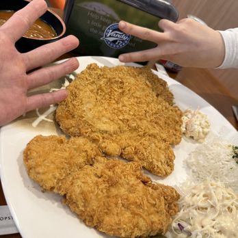 Morak - Huge Donkatsu - Korean Near Me - Centreville, Virginia