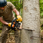 Photo of Greg's Tree & Stump Removal