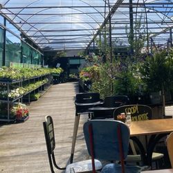 Chocolate Frog Cafe - Right in the garden center
