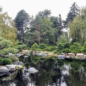 Denver Botanic Gardens - Koi Pond at the Japanese Garden - Botanical Gardens Near Me - Denver, Colorado Denver Botanic Gardens - Koi Pond at the Japanese Garden - Botanical Gardens Near Me - Denver, Colorado
