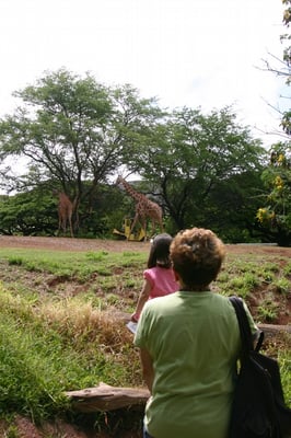 Honolulu Zoo by null