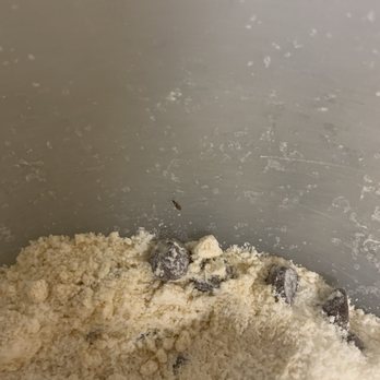 Walmart Supercenter - Bugs in cookie mix - Department Stores Near Me - Oklahoma City, Oklahoma Walmart Supercenter - Bugs in cookie mix - Department Stores Near Me - Oklahoma City, Oklahoma