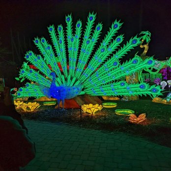 Chinese Lantern Festival - Festivals Near Me - Cary, North Carolina