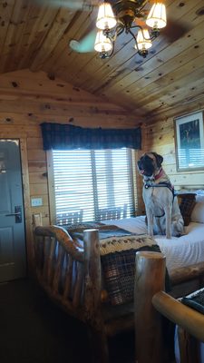 Badlands Frontier Cabins by null