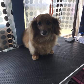 Mutt Hut Pet Grooming - Pet Groomers Near Me - Duncan, Oklahoma Mutt Hut Pet Grooming - Pet Groomers Near Me - Duncan, Oklahoma