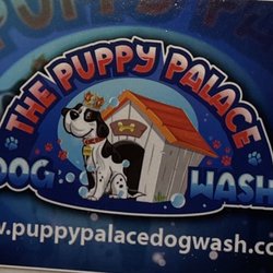 The Puppy Palace Dog Wash Giftly Beautiful Gift Card Alternative